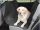Housse de siège arrière pour chiens FB- LA240 