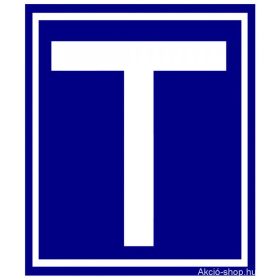 Leader étudiant lettre T magnétique Normal 20*23cm